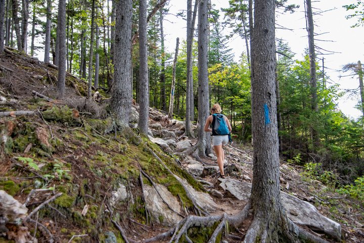 A hiker exploring the trails in Sunday River.